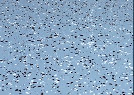 blue specks garage floor